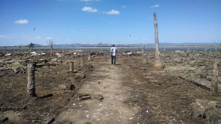 Ruínas da antiga cidade de Jaguaribara, Ceará, Brasil, parcialmente submersa e ressurgida após a seca, simbolizando a memória que persiste entre escombros.